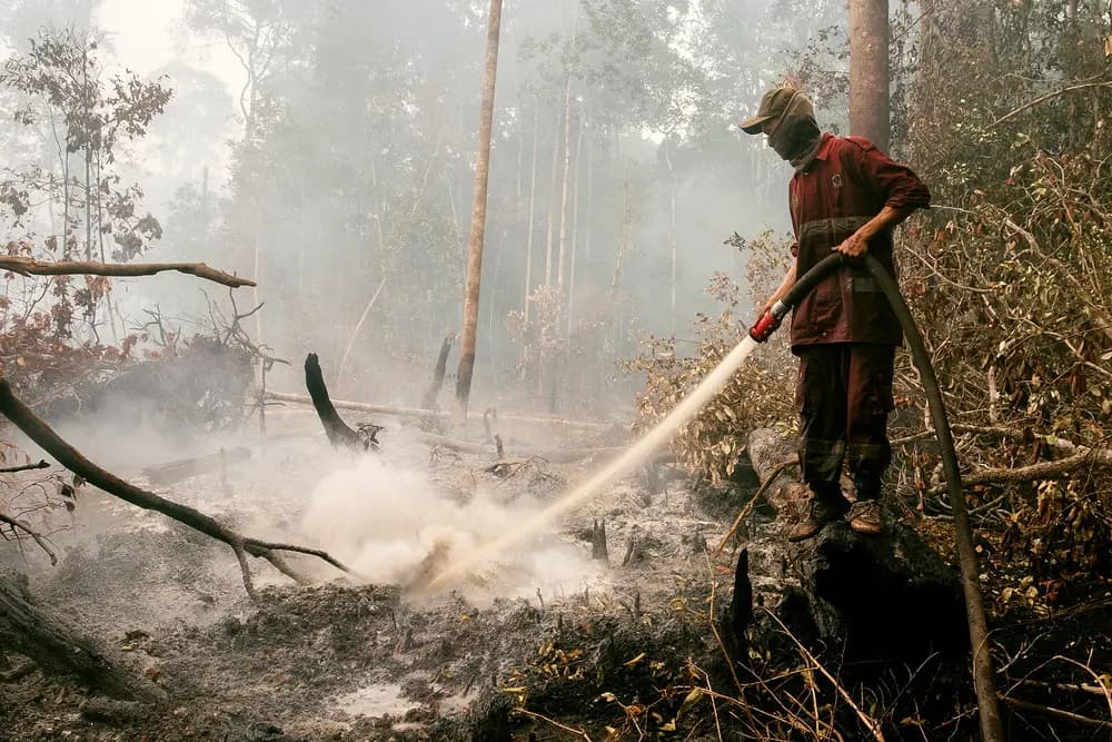 Petugas menyemprot lahan gambut yang masih berasap